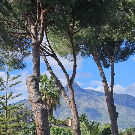 Palacio 게스트하우스